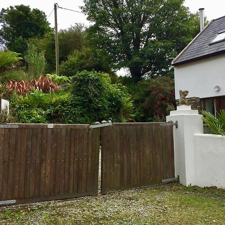 Fernery Garden Cottage, Near Skibbereen Exteriör bild